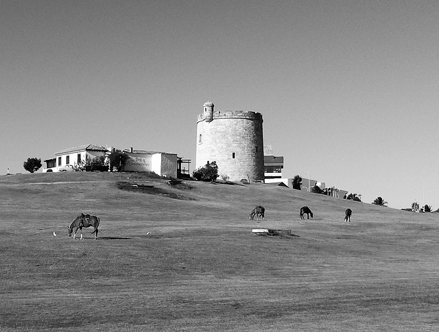 Caballos y torre