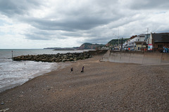 Sidmouth Beach