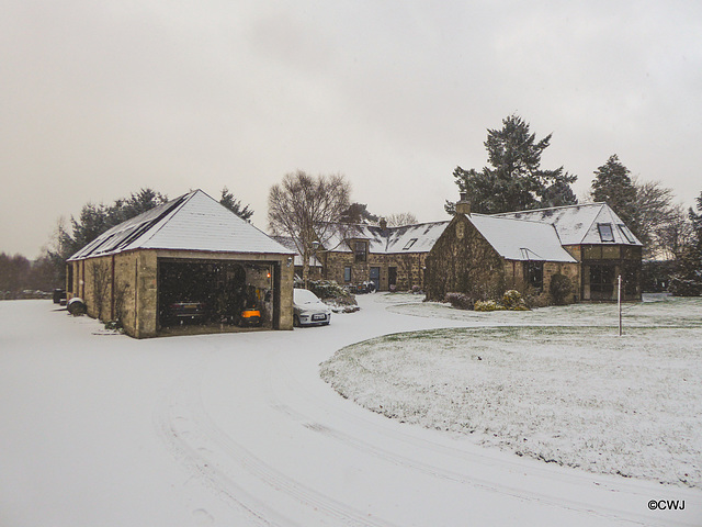 Fresh snow this morning