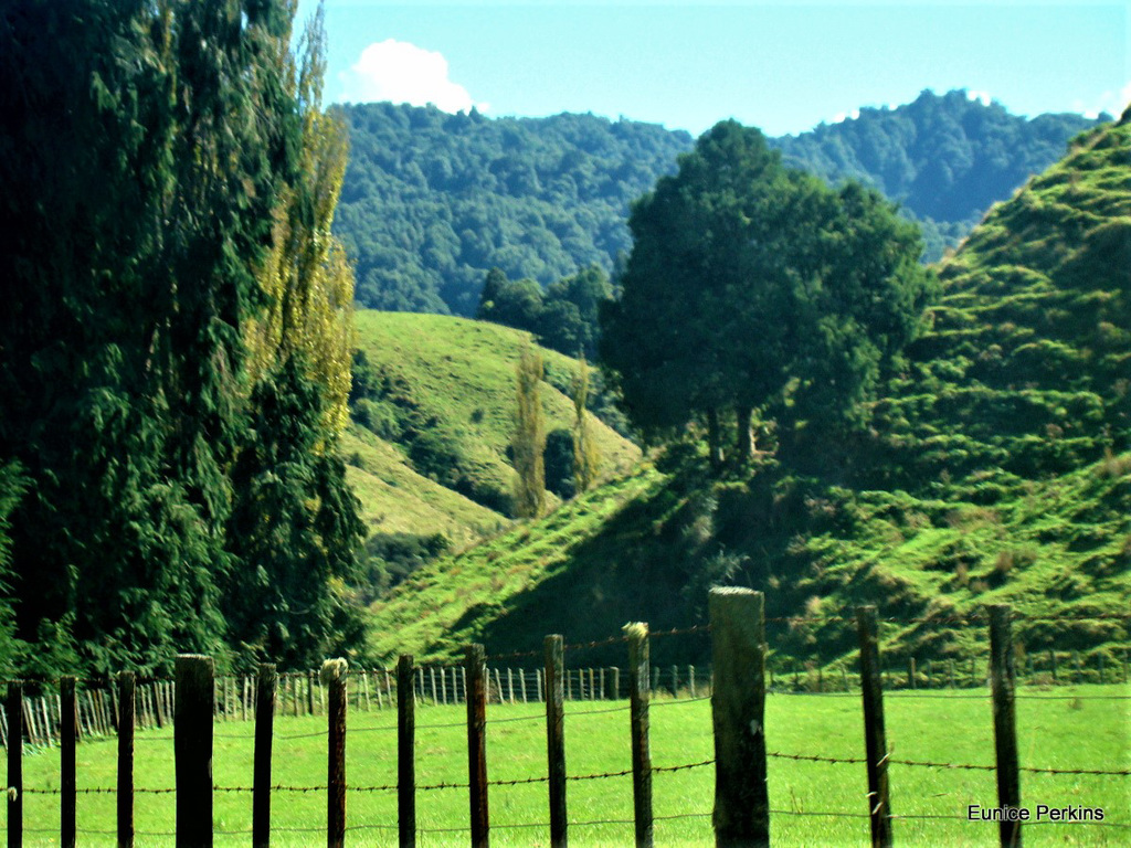 Hilly Farmland.