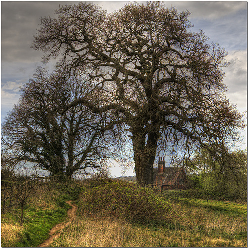 Chilworth, Surrey