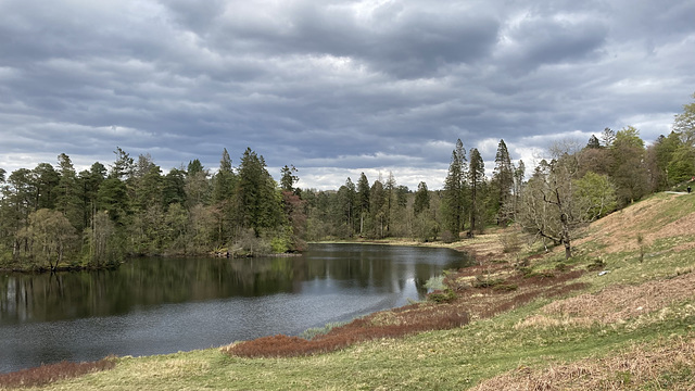 Tarn Hows