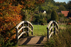 Über diese Brücke musst du gehn - HFF!