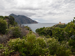 CORSICA - Girulata