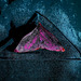 Playing with Triangles