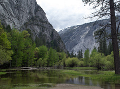 Yosemite Mirror Lake (#0578)