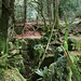 Puzzlewood