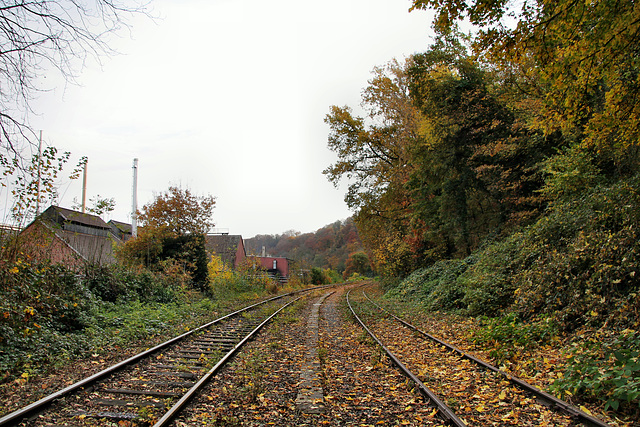 Gleise der Ruhrtalbahn (Witten-Herbede) / 6.11.2021