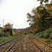 Gleise der Ruhrtalbahn (Witten-Herbede) / 6.11.2021