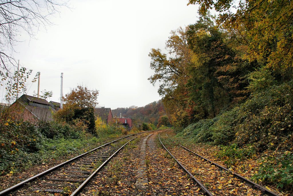 Gleise der Ruhrtalbahn (Witten-Herbede) / 6.11.2021
