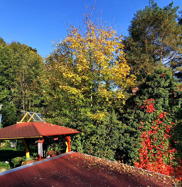 schöner Herbst