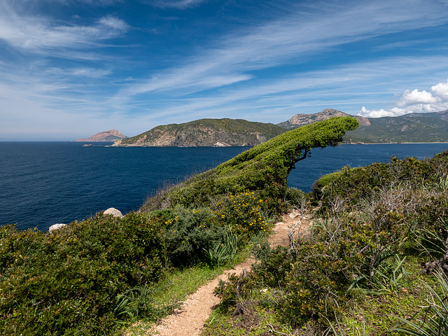 CORSICA - Omigna