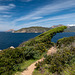 CORSICA - Omigna