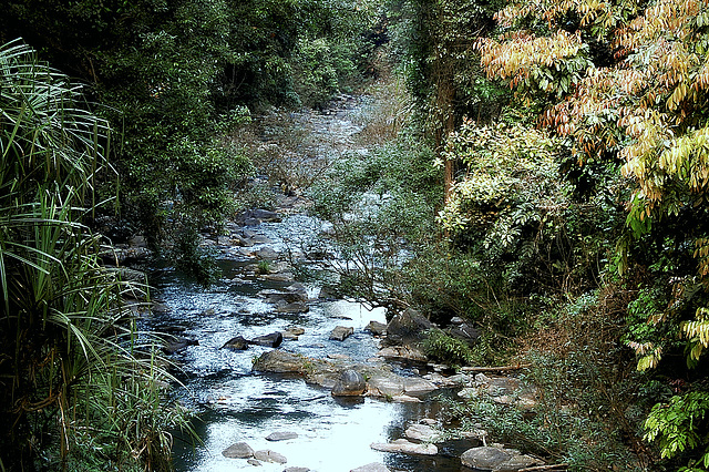 Other side of the Abbi Falls