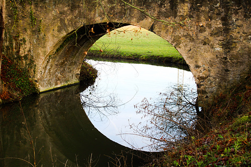 Oval