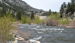 US 395 Walker River (#0503)