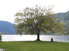 Bohinj Lake