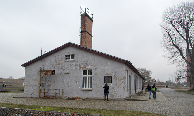 Sachsenhausen Concentration Camp Memorial (#0108)