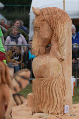 The Carrbridge World Chainsaw Carving Championship 2018