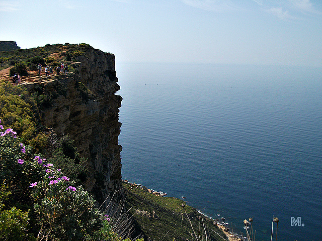 rando du cap Canaille entre Cassis et La Ciotat .@++