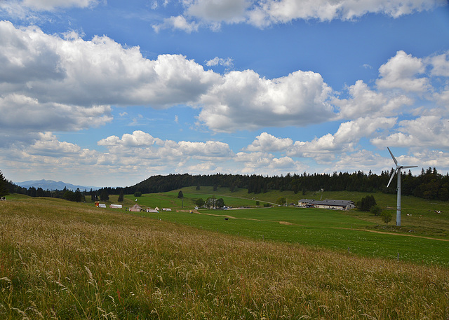 Bestes Wanderwetter auf dem oberen Grenchenberg