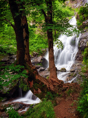 Todtnauer Wasserfall (PiP)
