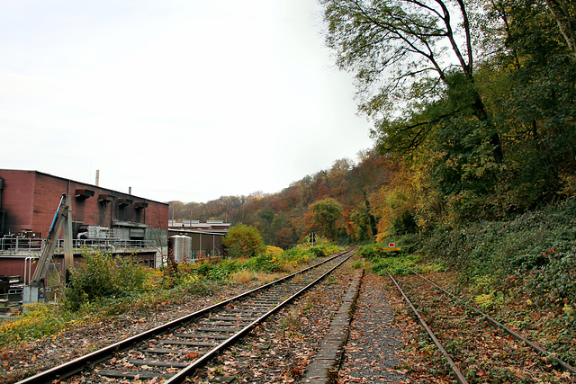 Ruhrtalbahn bei der Firma Lohmann (Witten-Herbede) / 6.11.2021