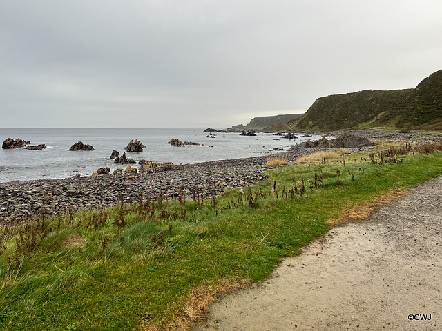 View from the Coastal Trail between Cullen and Findlater Castle