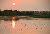sunrise over marsh