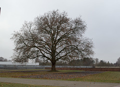 Sachsenhausen Concentration Camp Memorial (#0112)