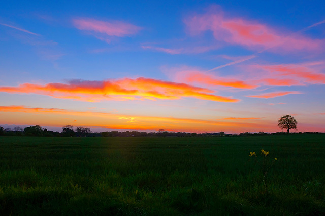 Gnosall sunset