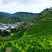 DE - Mayschoß - Saffenburg and vineyards