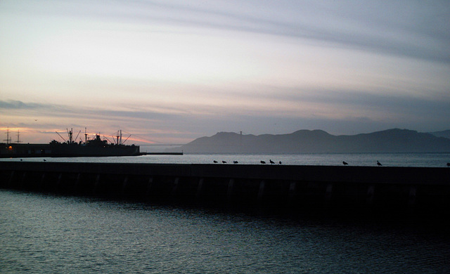 View from Pier 39