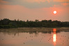 sunrise over marsh 3