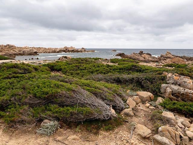 CORSICA - Bruzzi