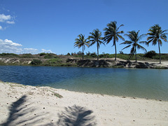 Diogo's Great swimming-pool.