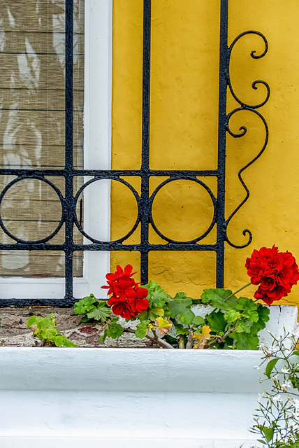 Red flowers: HFF