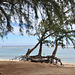 Plage de La Saline-les-Bains