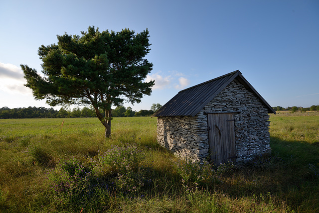 Fishing Shed