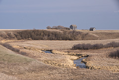 coulee and homstead