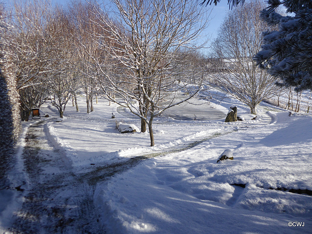 Snowplough operations needed this morning...