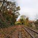 Herbstliche Trasse der Ruhrtalbahn (Witten-Herbede) / 6.11.2021