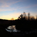Winter dusk over the pond