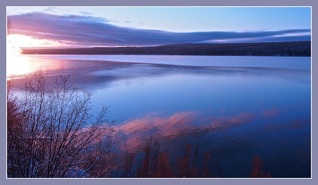 Nice morning at the lake.