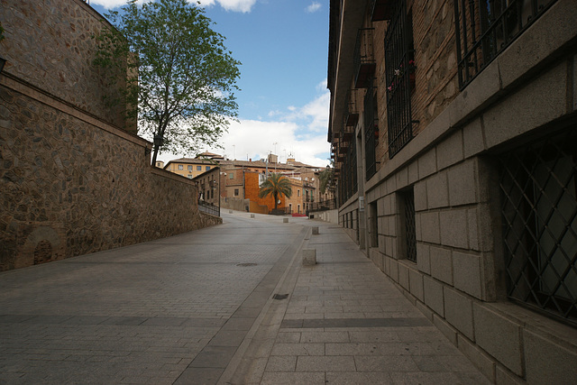 Walls Of The Alcazar