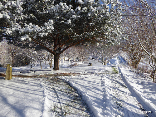 Snowplough operations needed this morning...