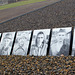 Sachsenhausen Concentration Camp Memorial (#0116)