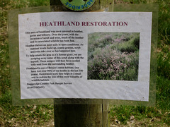Heathland Restoration at Gospel End