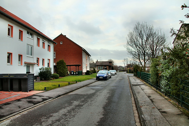 Zur Freiheit (Marl-Sickingmühle) / 12.12.2018