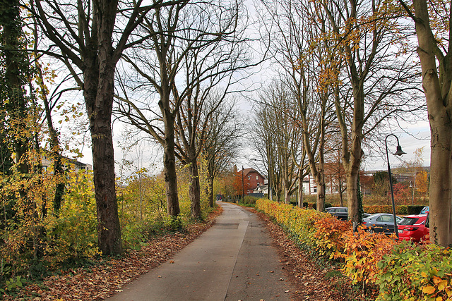 Von-Elverfeldt-Allee (Witten-Herbede) / 6.11.2021